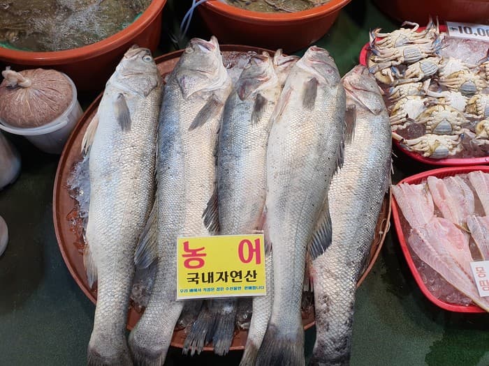 농어