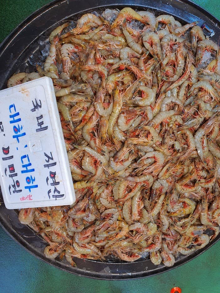 9월 대하