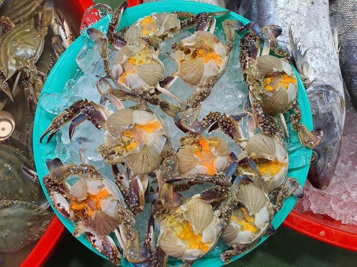 암꽃게