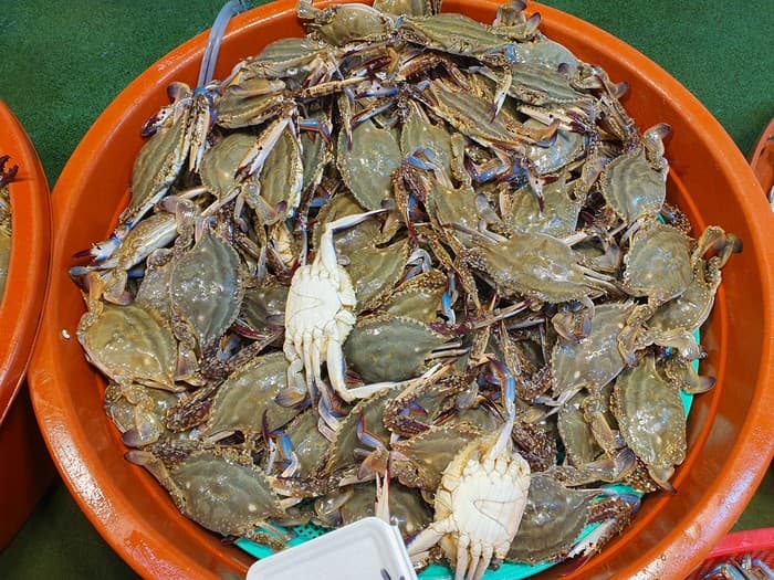 가을 꽃게
