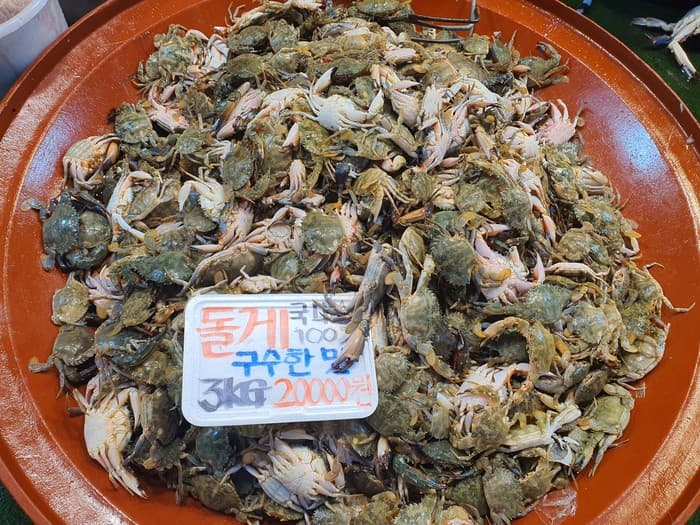9월 돌게