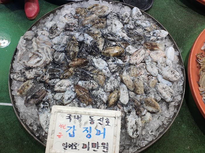 10월 갑오징어