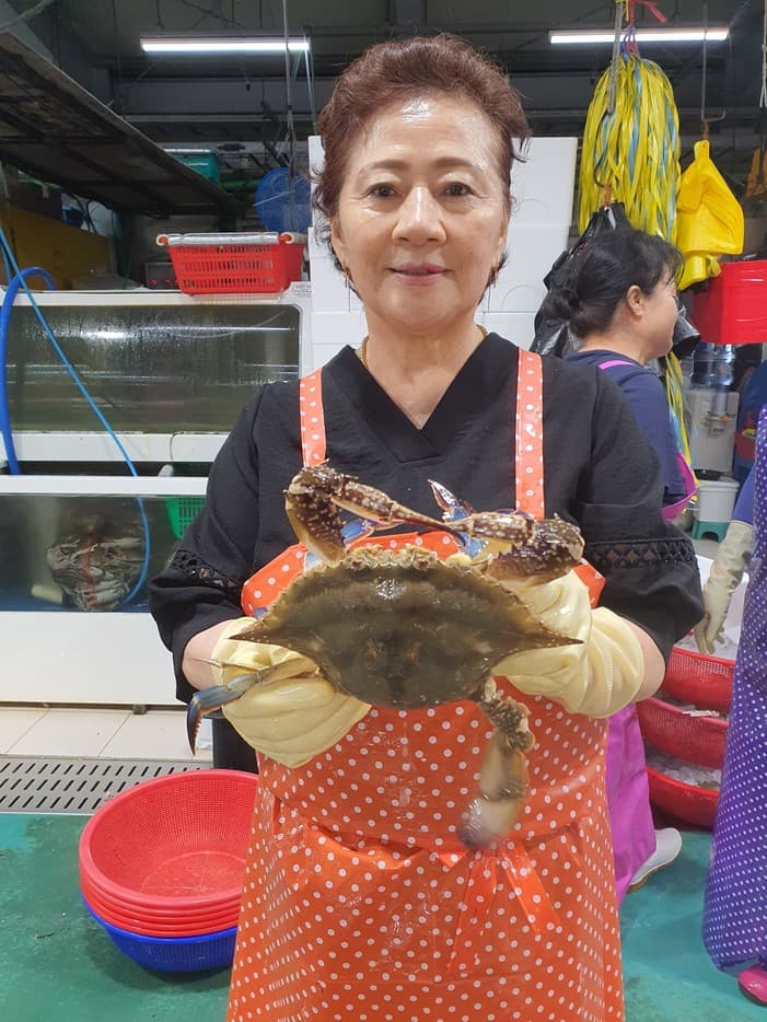 9월 숫꽃게
